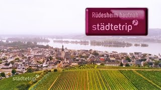 Rüdesheim hautnah  Der Städtetrip [upl. by Dasteel37]