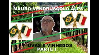 INTRODUÇÃO AS FASES DO VINHO E DO MOSTO  MAURO VENDRUSCOLO ALPS [upl. by Ventre]