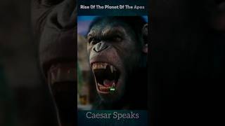 Rise Of The Planet Of The Apes Caesar Speaks [upl. by Alset497]