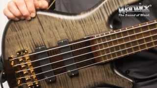 The Warwick Streamer Stage I 5String  Product Demo with Andy Irvine [upl. by Pazice852]