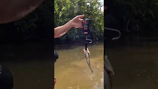 Creek Giant fishing bassfishing fishinglife fishingvideo bigfish creekfishing smallmouth [upl. by Elleda]