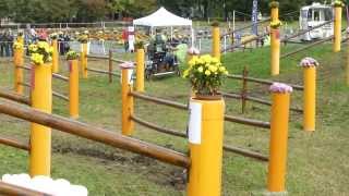 HOLLE Martin HUN WCH Ponies Pau 2013 Single Pony Marathon O 2 [upl. by Ibot]