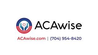 How To File Form 1095C with ACAWisecom [upl. by Sukul]