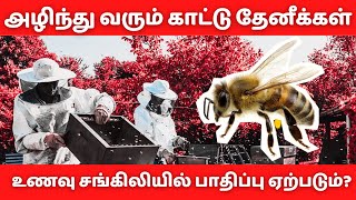 Bees How important are they and what would happen if they went extinct  DW  Vikatan [upl. by Killie872]