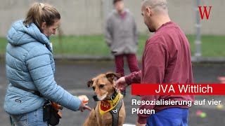 JVA Wittlich Resozialisierung auf Pfoten [upl. by Enelie]