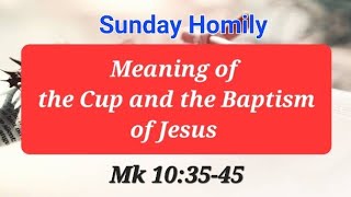 Sunday Homily  29th Sunday Year B  Meaning of the Cup and Baptism of the Lord [upl. by Tabbitha]