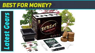 Best Bonsai Tree Kit for Beginners  Complete Indoor Growing Set [upl. by Droflim277]