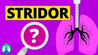 Stridor Abnormal Lung Sounds  Causes and Treatment [upl. by Stichter]