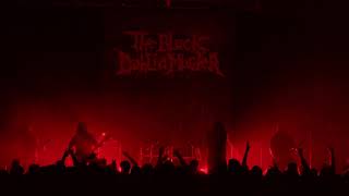 The Black Dahlia Murder quotNightbringersquot OFFICIAL VIDEO [upl. by Nurat882]