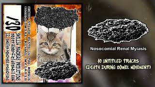 Nosocomial Renal Myiasis  Death During Bowel Movement 10 tracks 2022  Vomitnoise  Gorenoise [upl. by Reba]