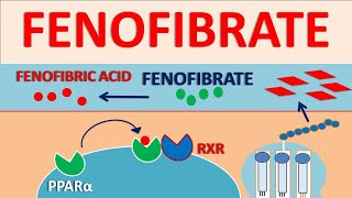 Fenofibrate  Mechanism side effects interactions and contraindications [upl. by Rheims606]