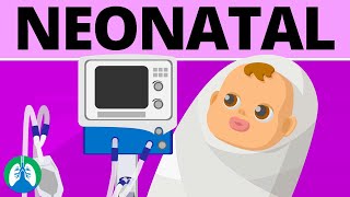 Neonatal Mechanical Ventilation Quick Medical Overview [upl. by Gerri]