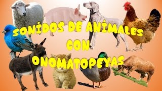 🐘🐷SONIDOS DE ANIMALES🐸🐂 Aprende los sonidos onomatopeyas y mas sobre los animales [upl. by Gombosi]