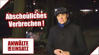 ANGRIFF auf Obdachlose 😱​😡 quotAn FEIGHEIT nicht zu überbietenquot  12  Anwälte im Einsatz  SAT1 [upl. by Arturo]