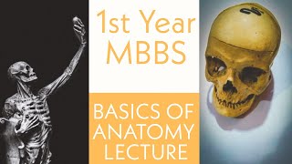 Basics Of General Anatomy Part 1  MBBS 1st year MBBS Anatomy [upl. by Alyks]