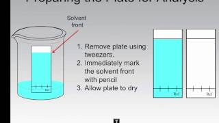 Thin Layer Chromatography  Performing an Analysis [upl. by Harlamert]