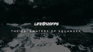 The Backwaters of Squander  Life120FPS  DJI Osmo Pocket 3 Cinematic 4K [upl. by Enyleuqcaj]