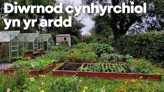 Diwrnod cynhyrchiol yn yr ardd [upl. by Ahsircal]