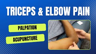 Triceps amp Elbow Pain [upl. by Faucher335]