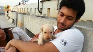 Uday Kiran amp his wife Vishithas Happy Days  An Exclusive Must Watch Video [upl. by Attenat219]