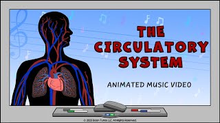 Circulatory System  How The Heart Works  Animated Music Video [upl. by Boleyn]