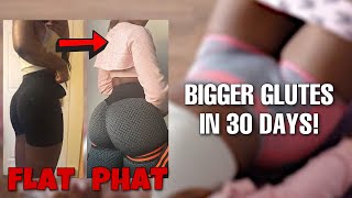 FLAT2PHAT Episode 1  BEST BOOTY WORKOUT FOR CURVIER GLUTES  20 Min Intense Lower Body Workout [upl. by Jessi]