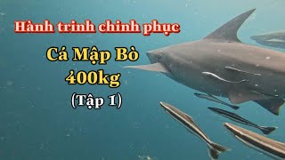 Hành Trình Tìm Cá Mập Bò 400kg  tập 1 [upl. by Alyal]