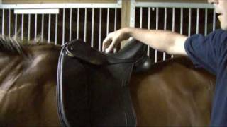 Saddle Fitting in 9 Steps  Step 1  Balance  by Schleese Saddlery Service [upl. by Tavi]