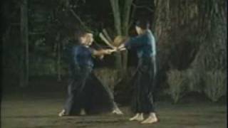 Tenshin Shōden Katori Shintōryū 1  Risuke Otake [upl. by Macgregor]