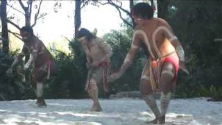 Australian Aboriginal Crane Dance [upl. by Kean742]