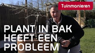 Hoe voed je planten in bakken en potten  Tuinmanieren [upl. by Idnal]