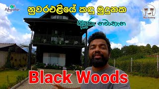 නුවරඑළියේ කඳු මුදුනක මීදුමේ ගිලුණු Cottage එක Black Woods ⚫  Hotel review  My Holiday [upl. by Feliza456]