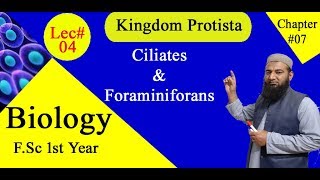 Biology Ch07Lecture04 Ciliate and Foraminiferans FSc 1st Year [upl. by Aicsila]