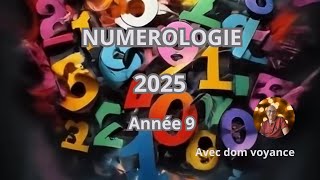 🙏 Numérologie pour 2025 année 9 force accomplissement transformation 🙏 [upl. by Hillell173]