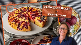 Easy Delicious Convection Plum Cake [upl. by Spector]