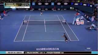 Australian Open 2013 Djokovic vs Wawrinka HD Best points from Djokovic [upl. by Hinman865]