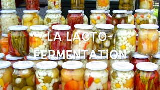 20 La Lactofermentation [upl. by Hayyikaz]