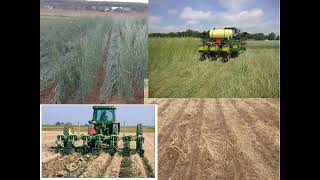 NECCC Webinar Cover crops and herbicide carryover concerns 100224 [upl. by Etnud]