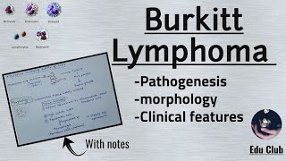 Burkitts Lymphoma  Non Hodgkins Lymphoma  Pathology [upl. by Kcirtemed]