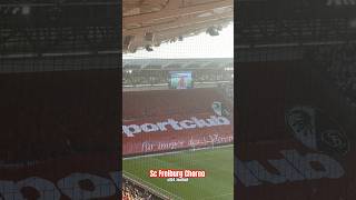 Sc Freiburg Choreo 😍🏟️ scf scfreiburg choreography [upl. by Naillimixam776]