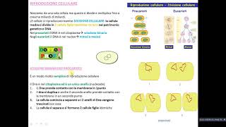 DIVISIONE CELLULARE  SCISSIONE BINARIA [upl. by Arimaj]