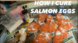 HOW TO CURE SALMON EGG FOR BAIT [upl. by Taddeo]