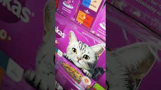 cat food wet jelly whiskas cat catfood wetcatfood shorts shortsvideo shortsfeed greenmartpk [upl. by Celio]