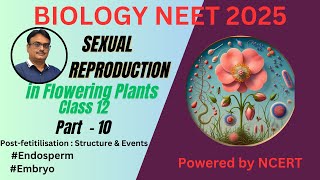 NCERT Class 12  Endosperm and embryo  Post  fertilization  Structure amp Development [upl. by Aeikan]