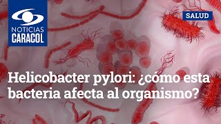 Helicobacter pylori ¿cómo esta bacteria afecta al organismo [upl. by Yelmene20]