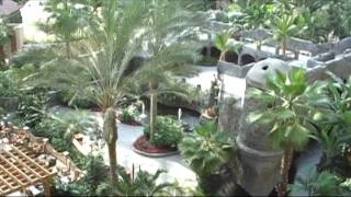 interior lobby Gaylord Palms Hotel Kissimmee Orlando Florida [upl. by Sheff]