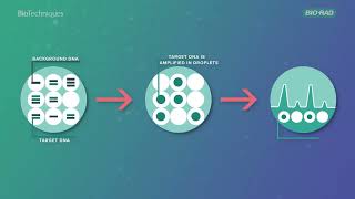 An introduction to Droplet Digital PCR [upl. by Conny]