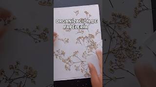 Cómo Organizo mis Flores y hojas secas journaling manualidades Guardado mi Papelería [upl. by Pinto]