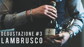 Degustazione Lambrusco 3  Cantina della Volta  Spumante quotRimossoquot 2016 [upl. by Zurkow583]