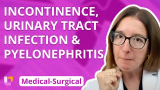 Incontinence Urinary Tract Infection amp Pyelonephritis  MedicalSurgical  Renal  LevelUpRN [upl. by Quenna]